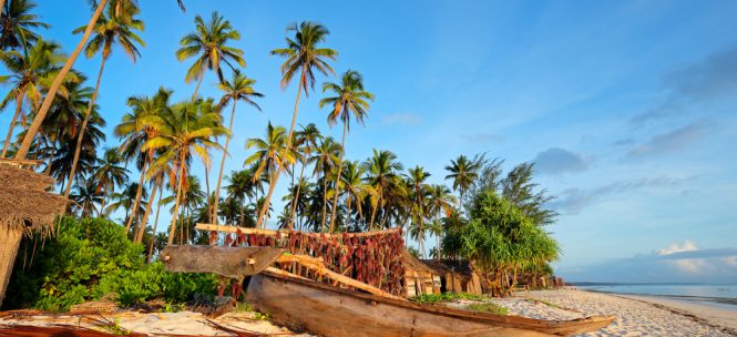 que voir à zanzibar